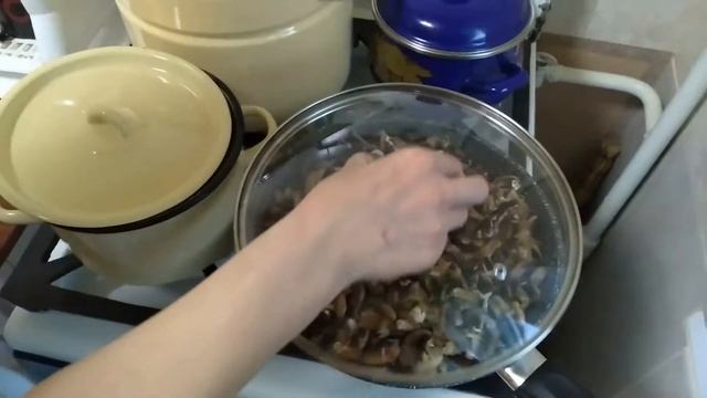 Как жарить грибы вешенки и шампиньоны с луком на сковороде ?