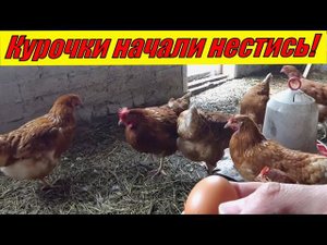 Начал стену и провел воду в бане