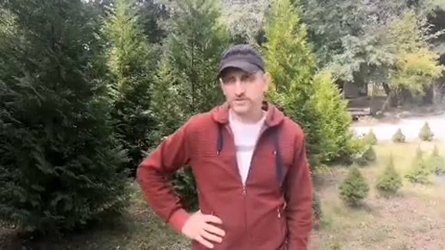 Кузовкин В.Н.  о школе Щетинина