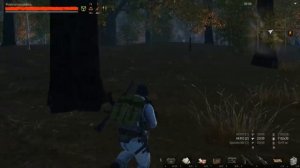 25. ОБТ Сталкер Онлайн. Изучаю болота на Юге Черного леса.