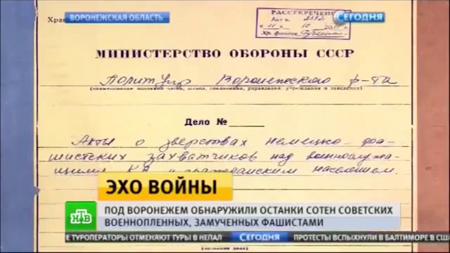 В Воронежской области нашли останки сот смотреть онлайн