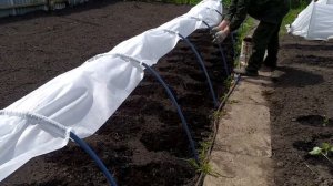 Устанавливаем парники