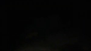 Бешеная лиса напала на людей.!!!!!