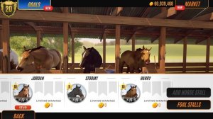 How to breed Black coats! TRYING to breed Black coats! Rival Stars Horse Racing