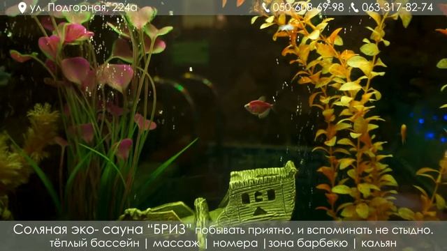 Сауна Бриз смотреть онлайн