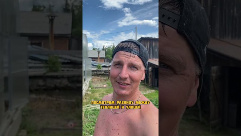 Продолжаю высаживать в траву