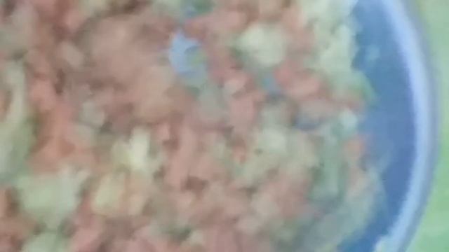 Ленивые Беляши смотреть онлайн