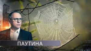 Паутина | Самые шокирующие гипотезы | 14.09.2020