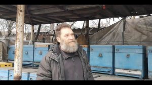 Навес для пчел. Нужен ли он?