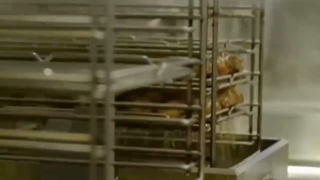 Китай начал поставлять в Россию ПЛАСТИКОВУЮ ЕДУ - яйца мясо хлеб. ЖУТЬ. Чем нас кормят на самом дел смотреть онлайн