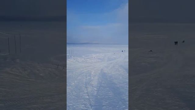 Катание на снегоходах по Нугушскому Водохранилищу  в Национальном парке "Башкирия"❄