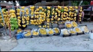 Мото-путешествие на мопеде СИГМА. Часть 13, Турция, где растут бананы.