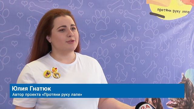 МУРАВЛЕНКОВЦЫ МОГУТ ПОМОЧЬ СОБРАТЬ «ZOO СУМКУ» смотреть онлайн