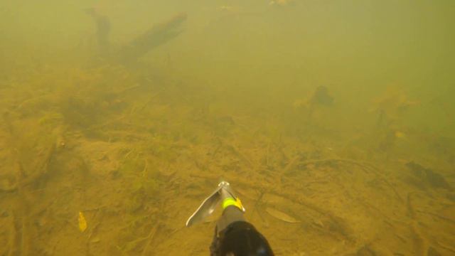 10,10,2020 река протва смотреть онлайн