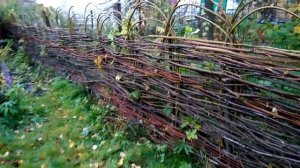 Плетень Изгородь Тын на даче