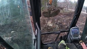 Hyundai HX 140 L - Clean Up after tree cut 1:2