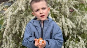 Христос Воскрес