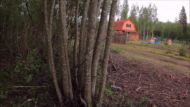 Начинаем вырубать деревья. Дача своими руками. #1. смотреть онлайн