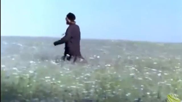 Взбранной Воеводе из к/ф Мусульманин