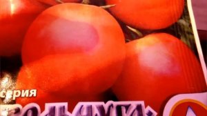 Сорт томата Белый Налив/ Описание и характеристики сорта/Урожайные сорта томатов