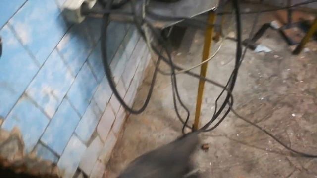Неизданное 5