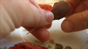 Как сделать шоколадные розы без инвертного сиропа. И букет из шоколадных роз.