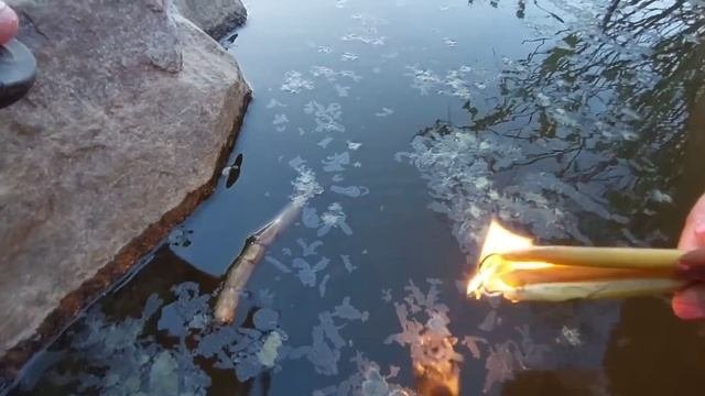 Чистка от порчи на болото,жабьей порчи,болотных гадов,нечисти и застоя. Порч сделаных на местах сил