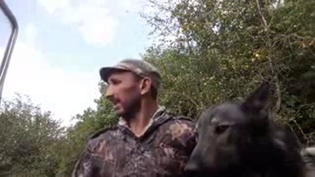 Охотничье собаководство в Дагестане смотреть онлайн