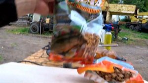 Копченые брюшки лосося.Как закоптить красную рыбу в домашних условиях. Smoked fish