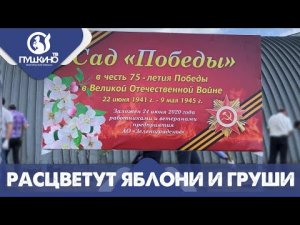 Расцветут яблони и груши