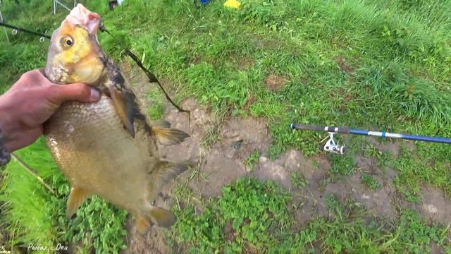 Такую Рыбалку на ЛЕЩА Надо ВИДЕТЬ! РЫБАЛКА на ОКЕ! ЛОВЛЯ НА ДОНКИ! смотреть онлайн