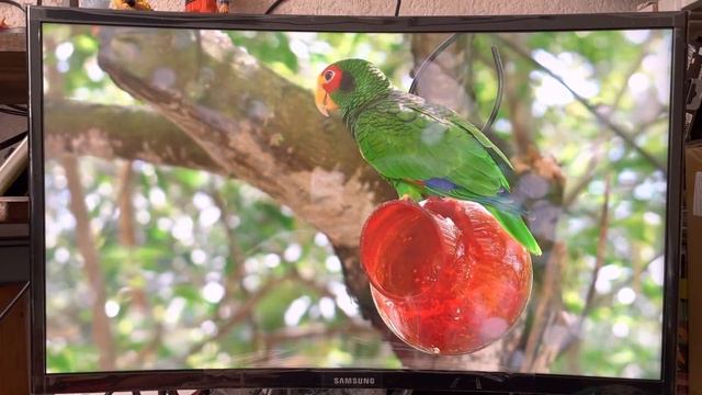 MONITOR SAMSUNG CF390 смотреть онлайн