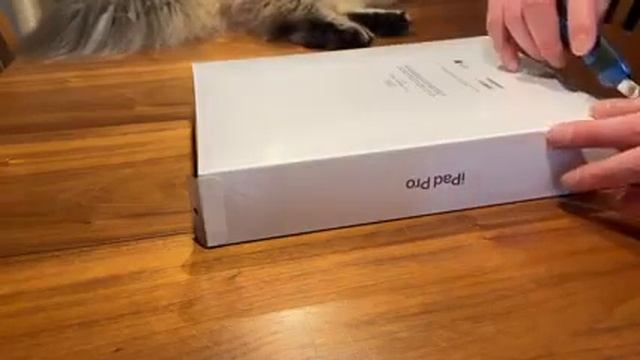 iPad Pro 12.9 with M1 unboxing смотреть онлайн