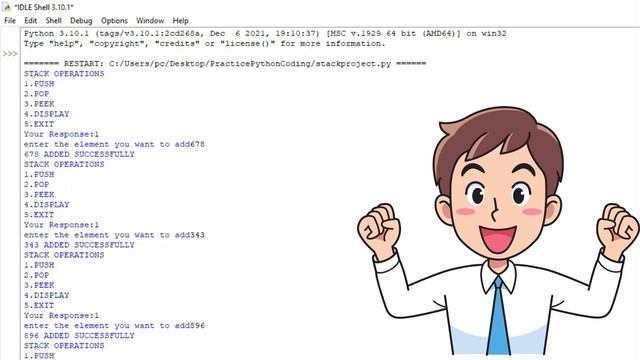 Stack Operations (Push,Pop,Peek,Display) Class 12 Computer Science Project+Project File