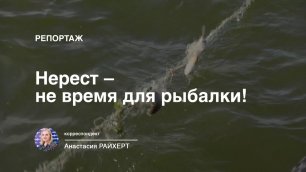 Репортаж: "Нерест – не время для рыбалки" (2022-05-20)