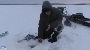 Уловистый дешёвый балансир на окуня На зимней рыбалке 2019 iYNrf4YWBts