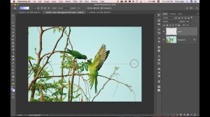 Bài 24: Paint Bucket và Gradient | Làm Chủ Photoshop CC 2018