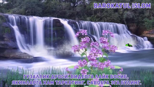 Гузаллик Дуоси Инсонни юзига чирой бағишлайди кучли дуо смотреть онлайн