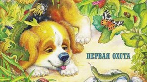 36. Аудиосказка.ПЕРВАЯ ОХОТА.mp4