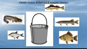 "Рыбы" развитие речи детей 4-5 лет с ТНР