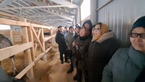 Страусиная ферма в Ивановской области.