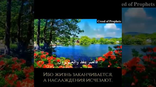 Бойся Аллаhа, и проси прощения за свои грехи пока тебя не понесли к могиле смотреть онлайн