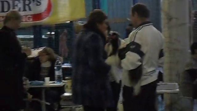 Всероссийская выставка собак 2013 года , г Озёрск смотреть онлайн