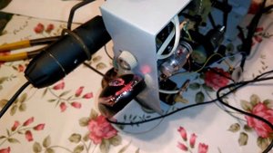 Оцифровка 8мм кинопленки версия 1