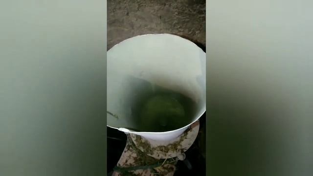 2в1 сенорезка-зернодробилка 220в без токарных работ своими руками(измельчение сена) смотреть онлайн