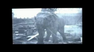 Assassin's Creed II - Глиф №12: Титаны индустрии