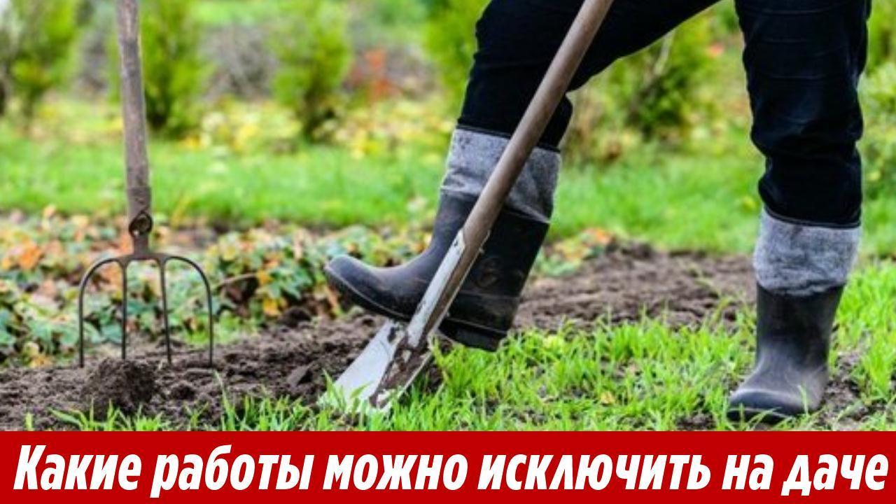 Вы даже не представляете какие работы можно исключить на огороде, освободив себе время на отдых