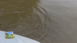 Охота и рыбалка на Урале. Поймал щуку. Рецепты дикой кухни