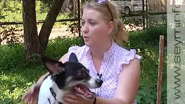 Лапки-царапки 04.07.13. Китайская хохлатая смотреть онлайн