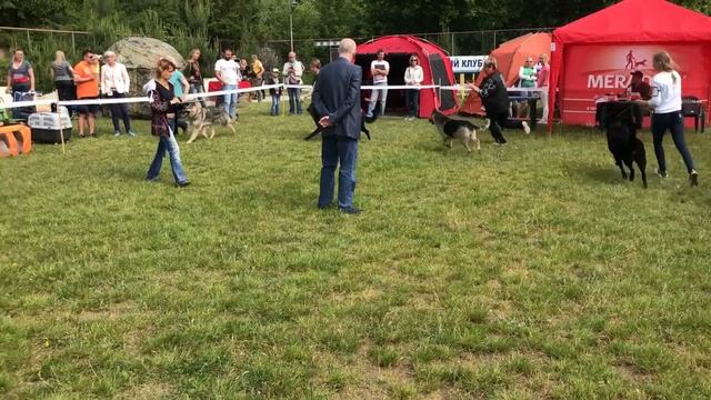 Сравнение на ЛС часть 1 смотреть онлайн